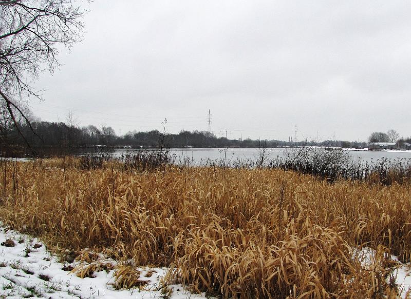 Wandeling De Paalse Plas 24-2-2013 (23).JPG